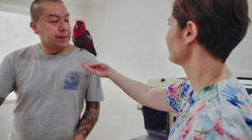 The Bizarre Pet Vets S01 WEBRip x264-ION10 EZTV