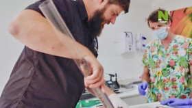 The Bizarre Pet Vets S01E03 XviD-AFG EZTV
