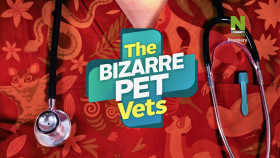The Bizarre Pet Vets S01E04 1080p HDTV H264-CBFM EZTV