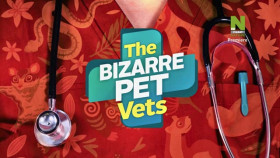 The Bizarre Pet Vets S01E04 XviD-AFG EZTV
