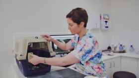 The Bizarre Pet Vets S01E06 XviD-AFG EZTV
