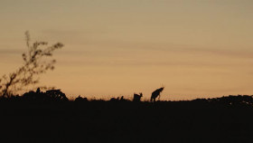 The Burren Heart Of Stone S01E02 XviD-AFG EZTV