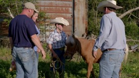 The Cowboy Way S04E01 720p WEB H264-CRiMSON EZTV