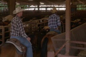 The Cowboy Way S04E09 WEB H264-CRiMSON EZTV