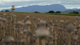 The Crime of the Century S01E01 1080p HEVC x265-MeGusta EZTV