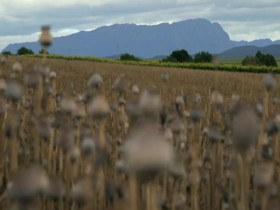 The Crime of the Century S01E01 480p x264-mSD EZTV