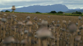 The Crime of the Century S01E01 WEB x264-PHOENiX EZTV