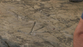 The Curse of Oak Island S10E11 1080p WEB h264-KOGi EZTV