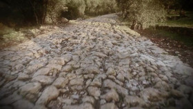 The Curse of Oak Island S11E11 WEBRip x264-XEN0N EZTV