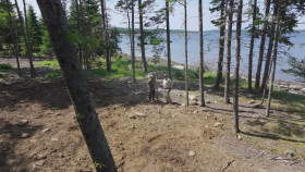 The Curse of Oak Island S12E07 1080p HEVC x265-MeGusta EZTV