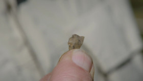 The Curse of Oak Island S12E07 1080p WEB h264-EDITH EZTV