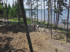 The Curse of Oak Island S12E07 480p x264-mSD EZTV