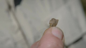 The Curse of Oak Island S12E07 XviD-AFG EZTV