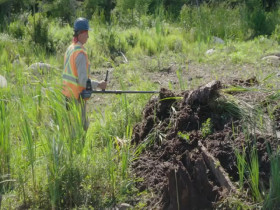 The Curse of Oak Island S12E08 480p x264-mSD EZTV