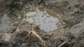 The Curse of Oak Island S12E09 1080p HEVC x265-MeGusta EZTV