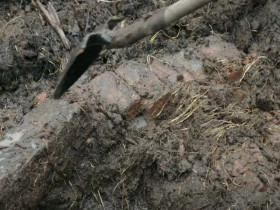 The Curse of Oak Island S12E09 480p x264-mSD EZTV