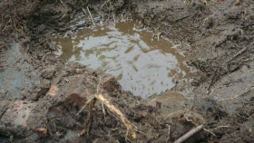 The Curse of Oak Island S12E09 720p HEVC x265-MeGusta EZTV