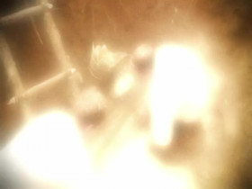 The Curse of Oak Island S12E12 Mapping It Out 480p x264-mSD EZTV