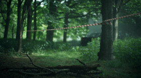 The Diana Investigations S01 WEBRip x264-ION10 EZTV