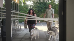 The Dog Hospital with Graeme Hall S01E01 XviD-AFG EZTV