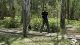 The Dog House AU S04E11 1080p HDTV H264-FERENGI EZTV