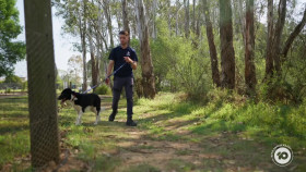 The Dog House AU S04E11 1080p HDTV x264-NGP EZTV