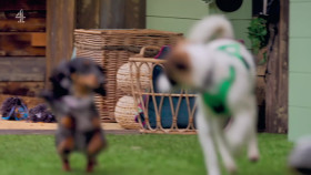 The Dog House S06E02 1080p HDTV H264-DARKFLiX EZTV