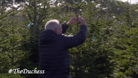 The Duchess And Her Magical Kingdom S01E05 XviD-AFG EZTV