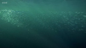 The Emerald Isles S01E03 1080p HEVC x265-MeGusta EZTV