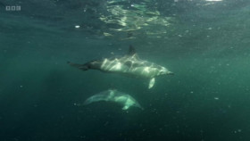 The Emerald Isles S01E03 1080p WEBRip x264-CBFM EZTV