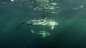 The Emerald Isles S01E03 XviD-AFG EZTV