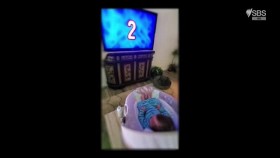 The Feed 2020 09 29 XviD-AFG EZTV