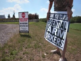 The Fifth Estate S46E02 480p x264-mSD EZTV