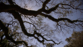 The First 48 S26E07 1080p HEVC x265-MeGusta EZTV