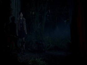 The Girl in the Woods S01E08 480p x264-mSD EZTV