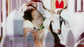 The GOAT 2024 S01E09 1080p WEB h264-EDITH EZTV