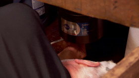 The Golden Bachelorette S01E02 1080p WEB h264-EDITH EZTV