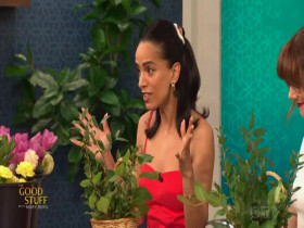 The Good Stuff with Mary Berg 2024 05 07 480p x264-mSD EZTV