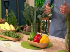 The Good Stuff with Mary Berg 2024 05 17 480p x264-mSD EZTV