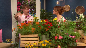 The Good Stuff with Mary Berg 2024 07 25 720p HEVC x265-MeGusta EZTV