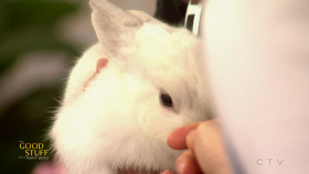 The Good Stuff with Mary Berg 2024 10 18 1080p WEB h264-BAE EZTV