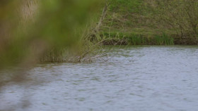 The Grand Fishing Adventure S01E02 1080p WEB h264-POPPYCOCK EZTV