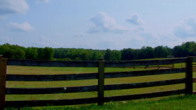 The Great American Recipe S03E06 1080p HEVC x265-MeGusta EZTV