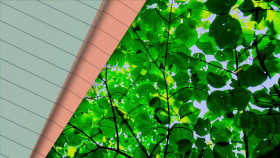 The Great American Recipe S03E06 1080p WEB h264-BAE EZTV