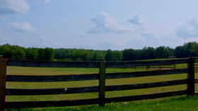 The Great American Recipe S03E06 720p HEVC x265-MeGusta EZTV