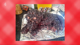 The Great British Bake Off An Extra Slice S10E02 XviD-AFG EZTV