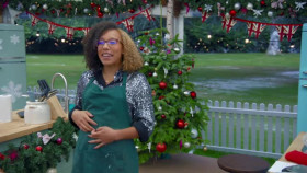 The Great British Bake Off S14E00 The Great Christmas Bake Off XviD-AFG EZTV