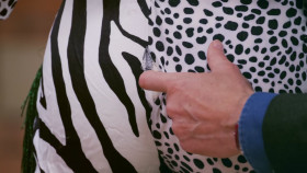 The Great British Sewing Bee S10E08 1080p HEVC x265-MeGusta EZTV