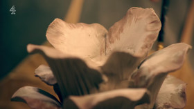 The Great Pottery Throw Down S08E06 1080p HEVC x265-MeGusta EZTV