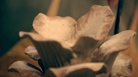 The Great Pottery Throw Down S08E06 Vegetable Lamps and a Double-Walled Challenge 1080p ALL4 WEB-DL AAC2 0 H 264-RAWR EZTV